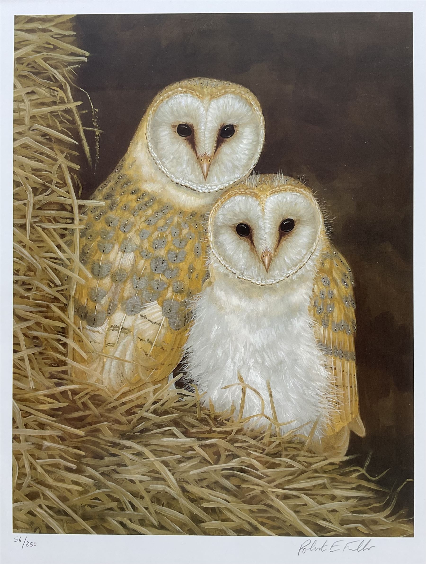 Robert E Fuller (British 1972-): 'Owls Snuggled Up'