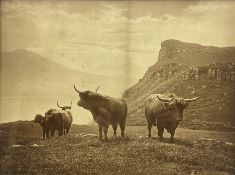 Charles Reid (Scottish 1837-1929): Highland Cattle