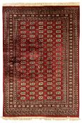 Pakistani Bokhara red ground rug