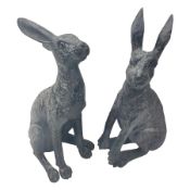 Two composite hares