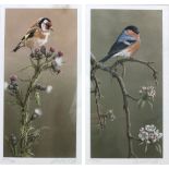 Robert E Fuller (British 1972-): 'Goldfinch on Thistle' and 'Bullfinch On Blossom'