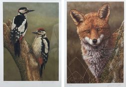 Robert E Fuller (British 1972-): Great Spotted Woodpeckers and 'Fox At Dawn'