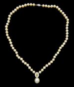 Single strand cultured pearl necklace