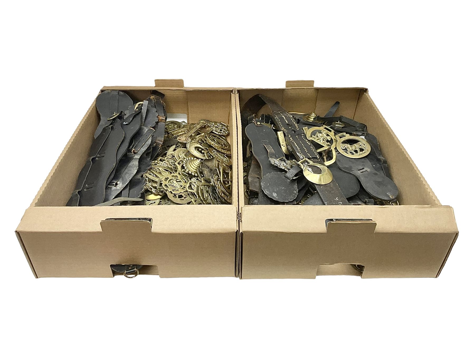 Large collection of 19th century and later horse brasses and leather straps