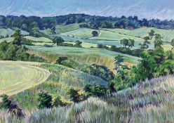 Paul Blackwell (Yorkshire Contemporary): 'The New Plantation - Esk Valley'