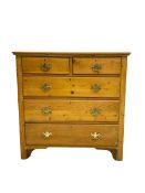 19th century polished pine chest