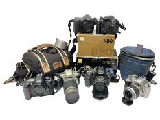 Six Nikon camera bodies