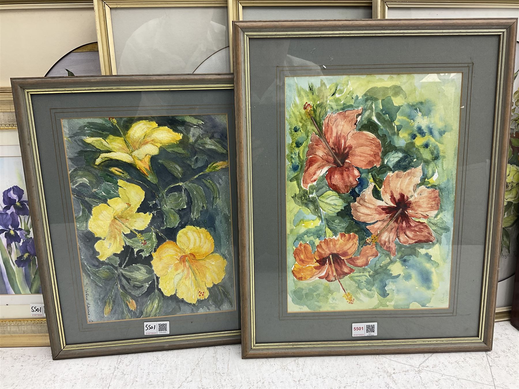 Nine framed watercolours of flowers by various artists including Rachel McNaughty etc - Image 3 of 5