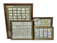 Four mounted and framed sets of cigarette cards comprising Players Game Birds & Wild Fowl; Ogdens Br