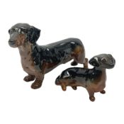 Beswick dachshund