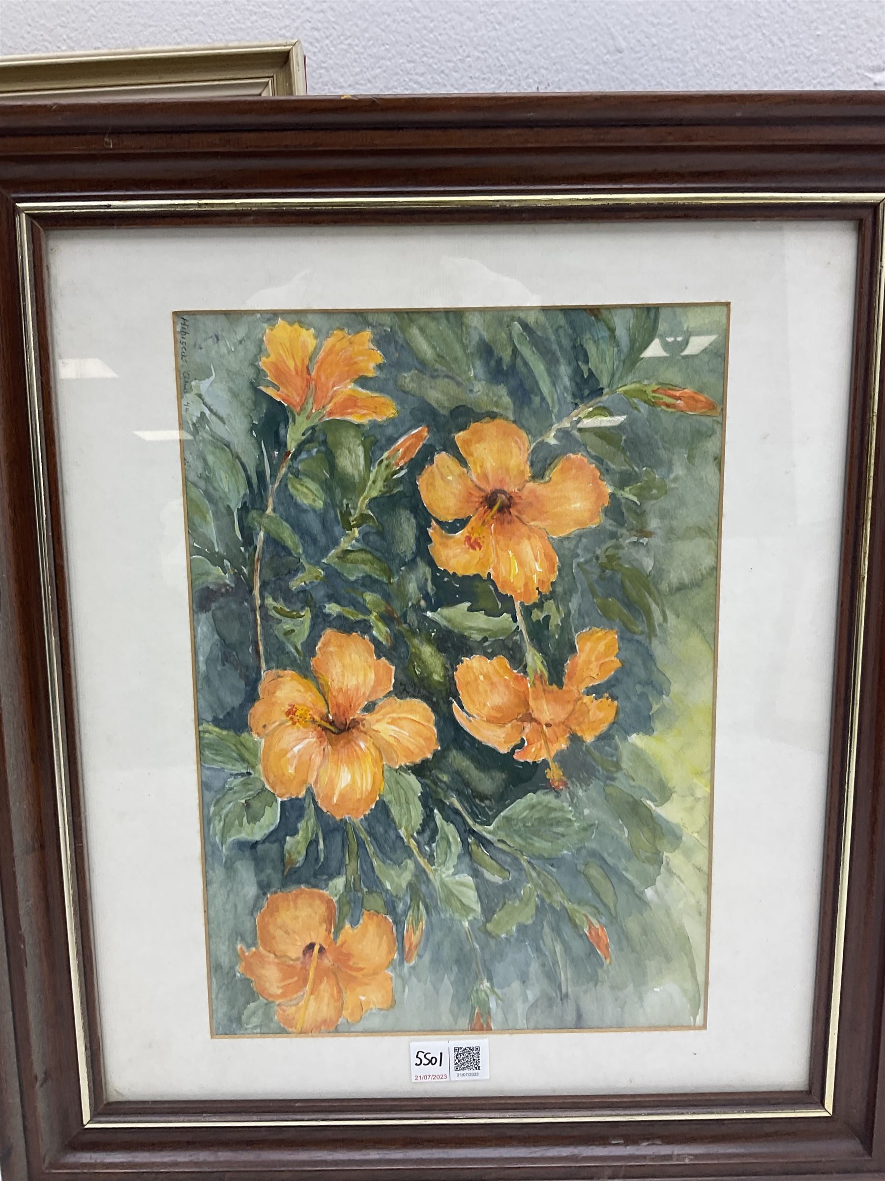 Nine framed watercolours of flowers by various artists including Rachel McNaughty etc - Image 2 of 5
