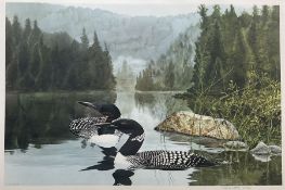 Frank DeMatteis (Canadian 1952-): Great Northern Divers