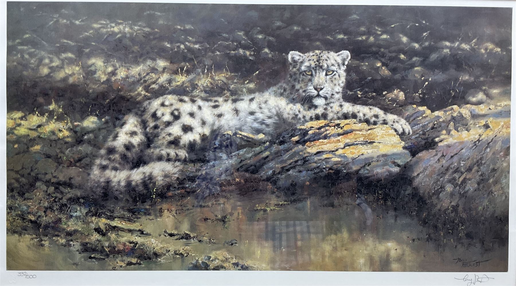 Tony Forrest (British 1961-): 'Watchful Eye' - Snow Leopard