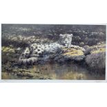 Tony Forrest (British 1961-): 'Watchful Eye' - Snow Leopard