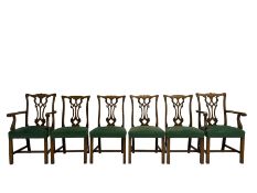 Set six (4+2) Chippendale design dining chairs