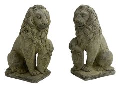 Pair of cast stone garden seated lions on plinth holding cartouche shields