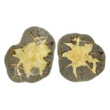 Pair of septarian slices