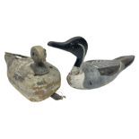 Two softwood painted decoy ducks