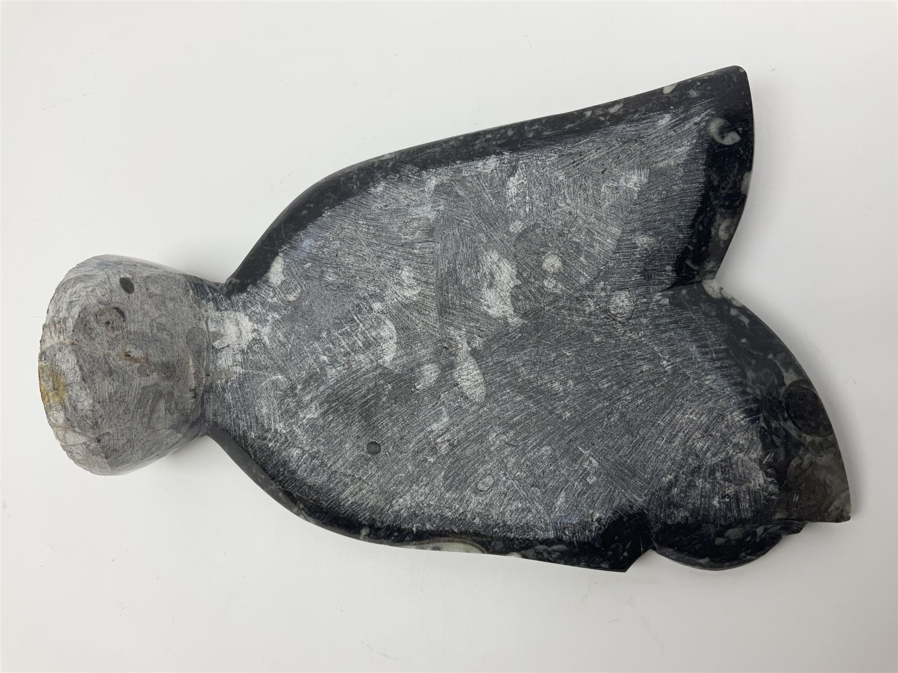 Small Goniatite and Orthoceras sculpture - Image 6 of 6