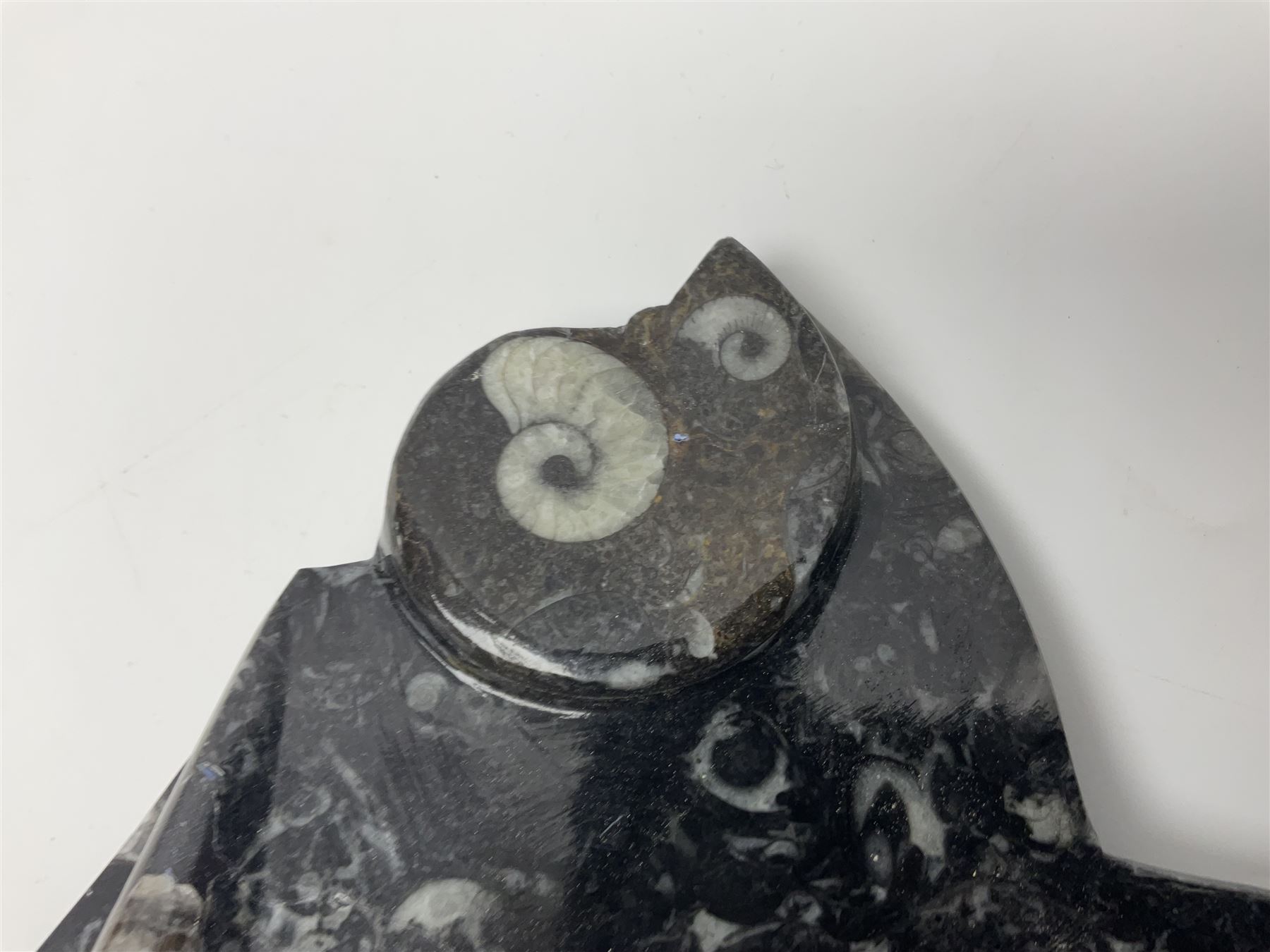 Small Goniatite and Orthoceras sculpture - Image 2 of 6