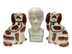 Phrenology head and pair of Staffordshire style dogs