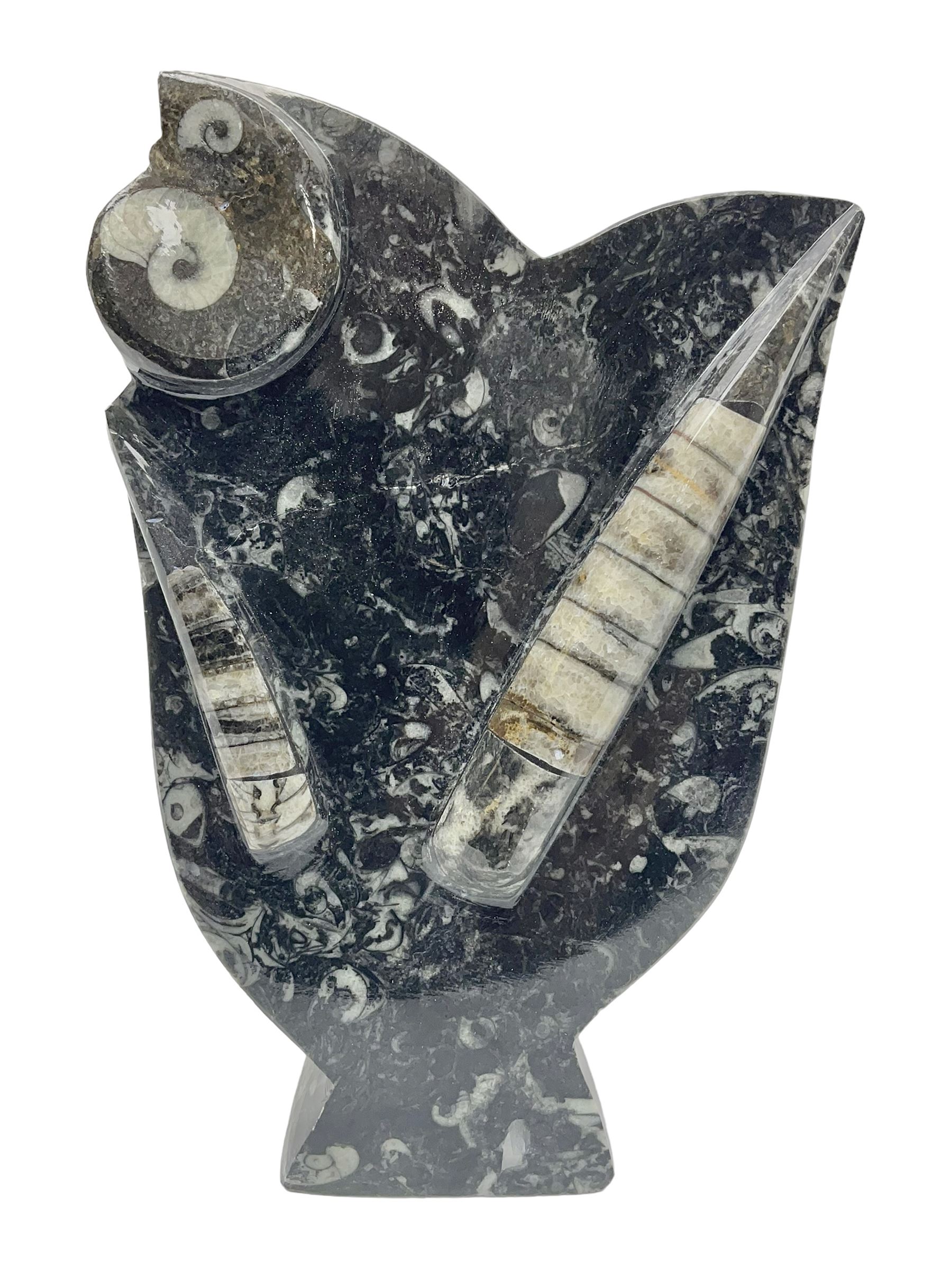 Small Goniatite and Orthoceras sculpture