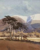 Jim Binns (British 1943-2018): Tree Study