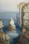 Frederick William Booty (British 1840-1924): Bempton Cliffs