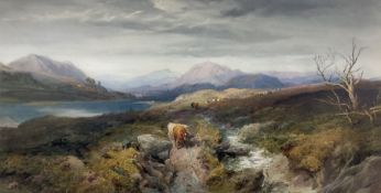 Thomas Miles Richardson Jnr. (British 1813-1890): 'Looking up Glen Strae - Loch Awe'