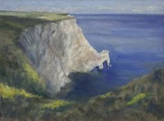 Neil Tyler (British 1945-): 'Bright Day Flamborough'