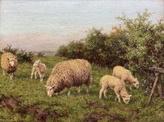 Joseph Dixon Clark (British 1849-1944): Sheep in a Meadow