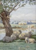 William Sidney Cooper (British 1854-1927): Sheep in the Shade