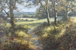 David Dipnall (British 1941-): 'Dappled Sunlight'