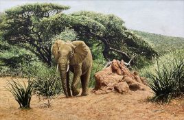 Edmund Barker (British 1940-2023): 'Kudu on the Alert - Samburu National Park Kenya'