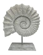 Composite Ammonite