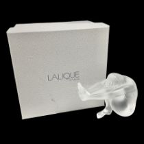 Lalique Nude Temptation