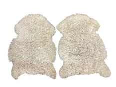 Two sheep skin rugs