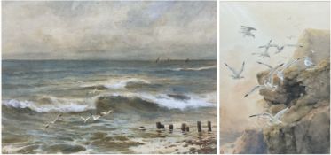 English School (Early 20th century): Coastal Scenes with Seagulls