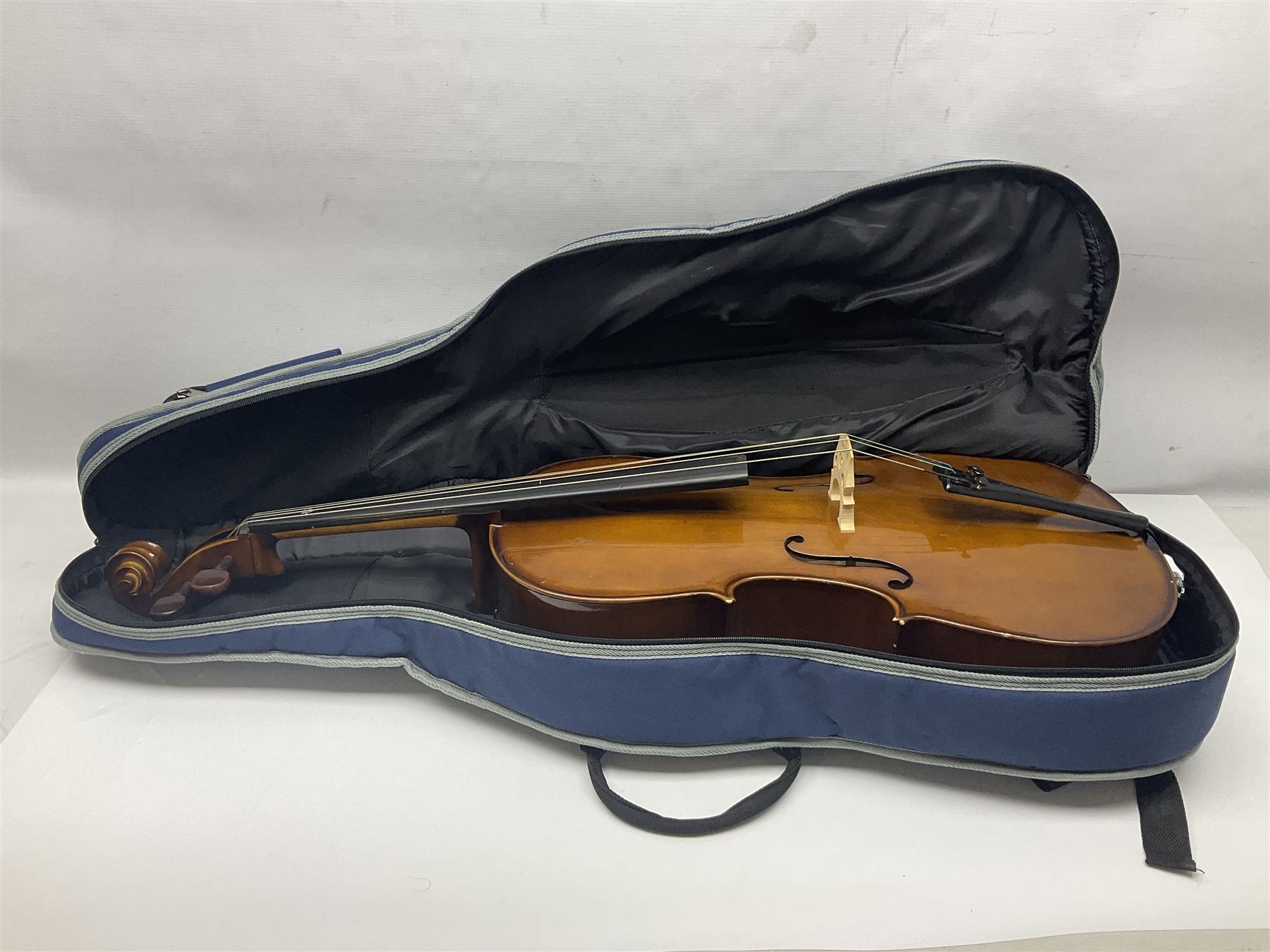 Stentor Student I quarter-size cello with 59.5cm two-piece maple back and ribs and spruce top; bears - Image 18 of 19