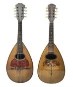 Late 19th century Italian lute back mandolin with segmented bowl back