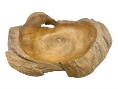 Large carved root wood bowl