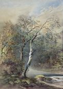 C Callburn? (British late 19th century): River Landscape