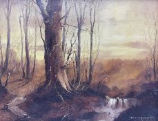Peter M Drewett (British 1957-): 'Twilight in the Woods'