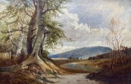 Thomas Morris Ash (British 1851-1935): 'Near Dolgellau - North West Wales'