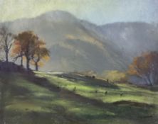 Jill Grinstead (Northern British Contemporary): 'Late Afternoon Sun - Cumbria'