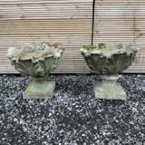 Pair of cast stone small garden planters on bases