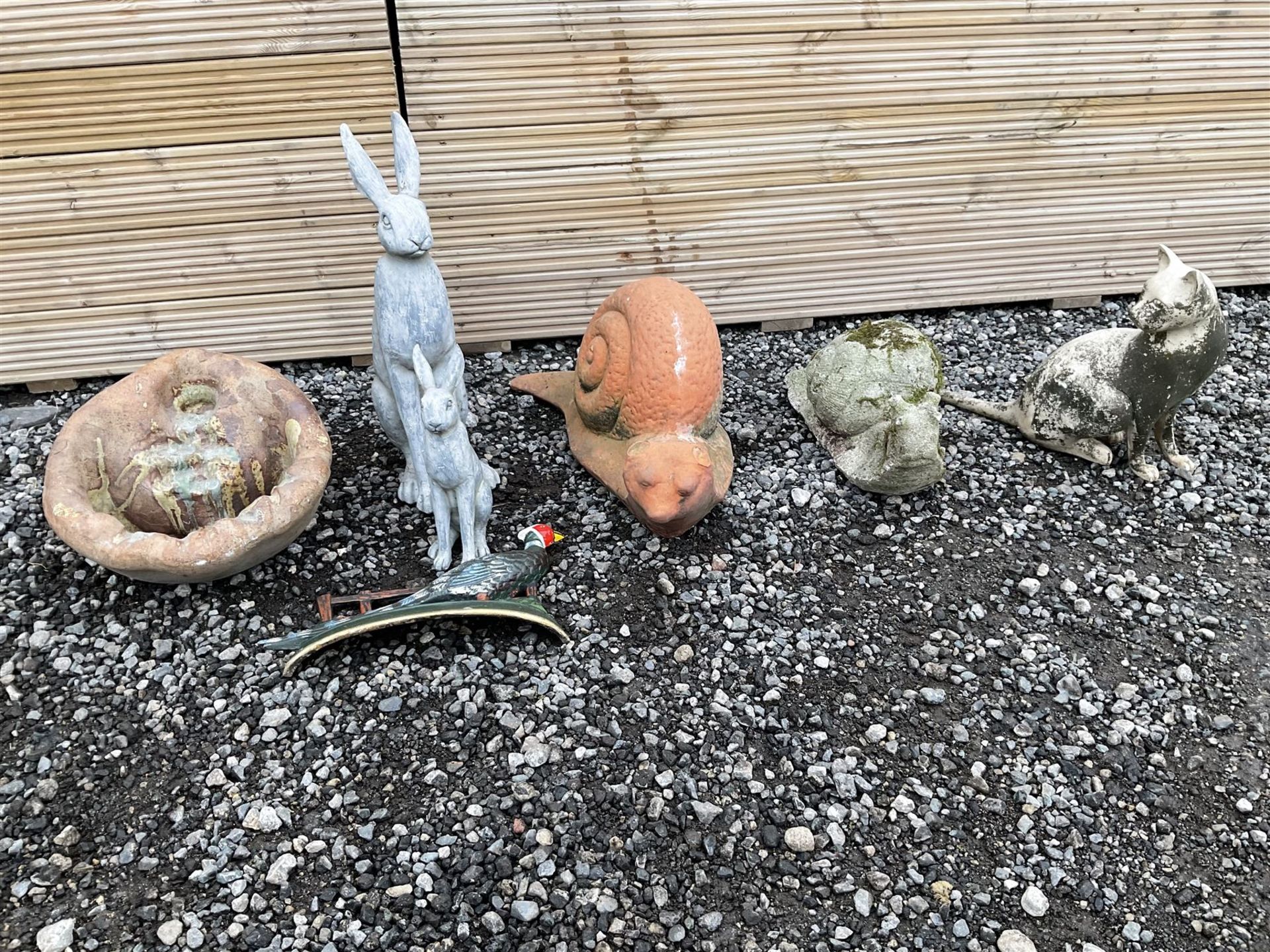Selection of garden animals such as snails