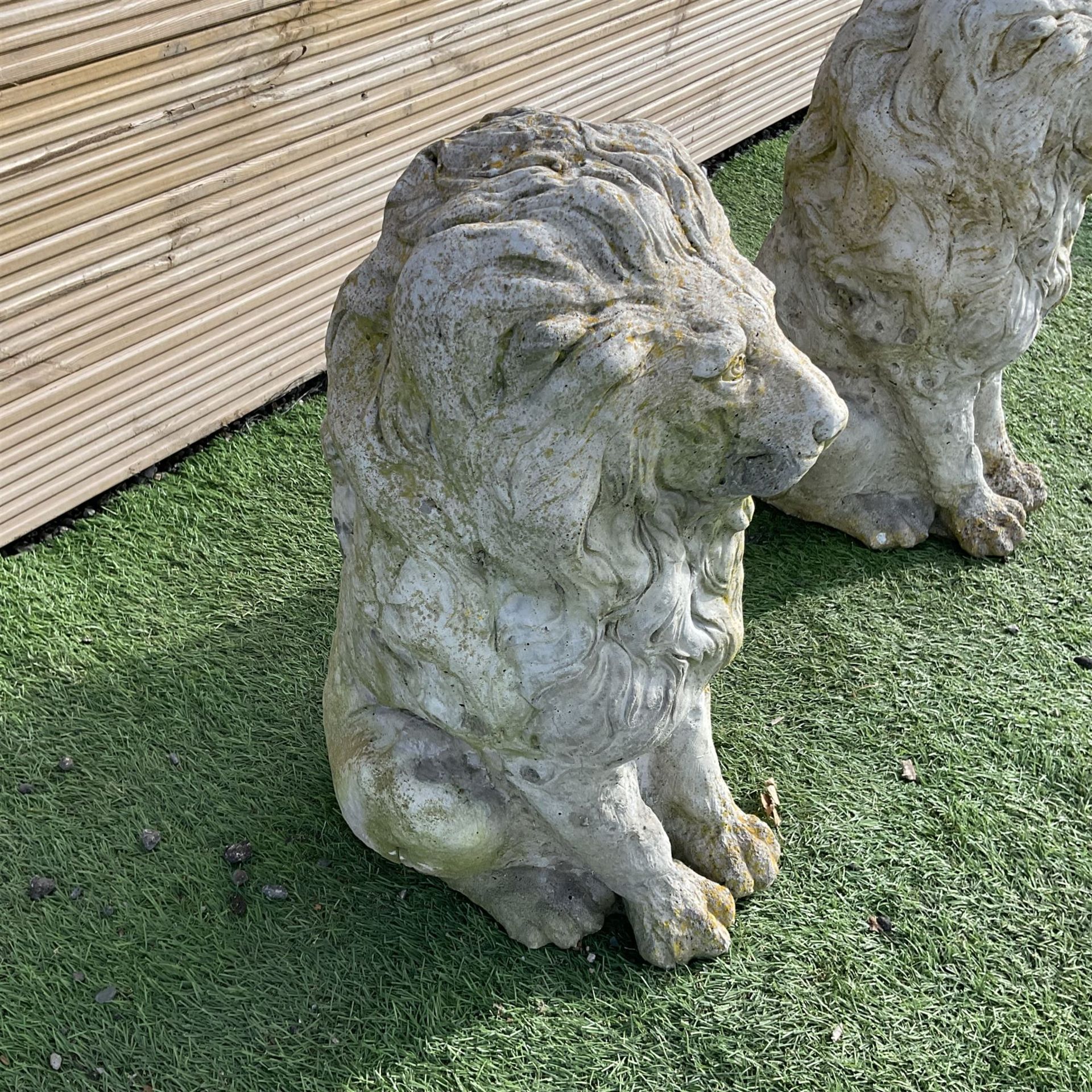 Pair of cast stone garden lions - Image 2 of 3