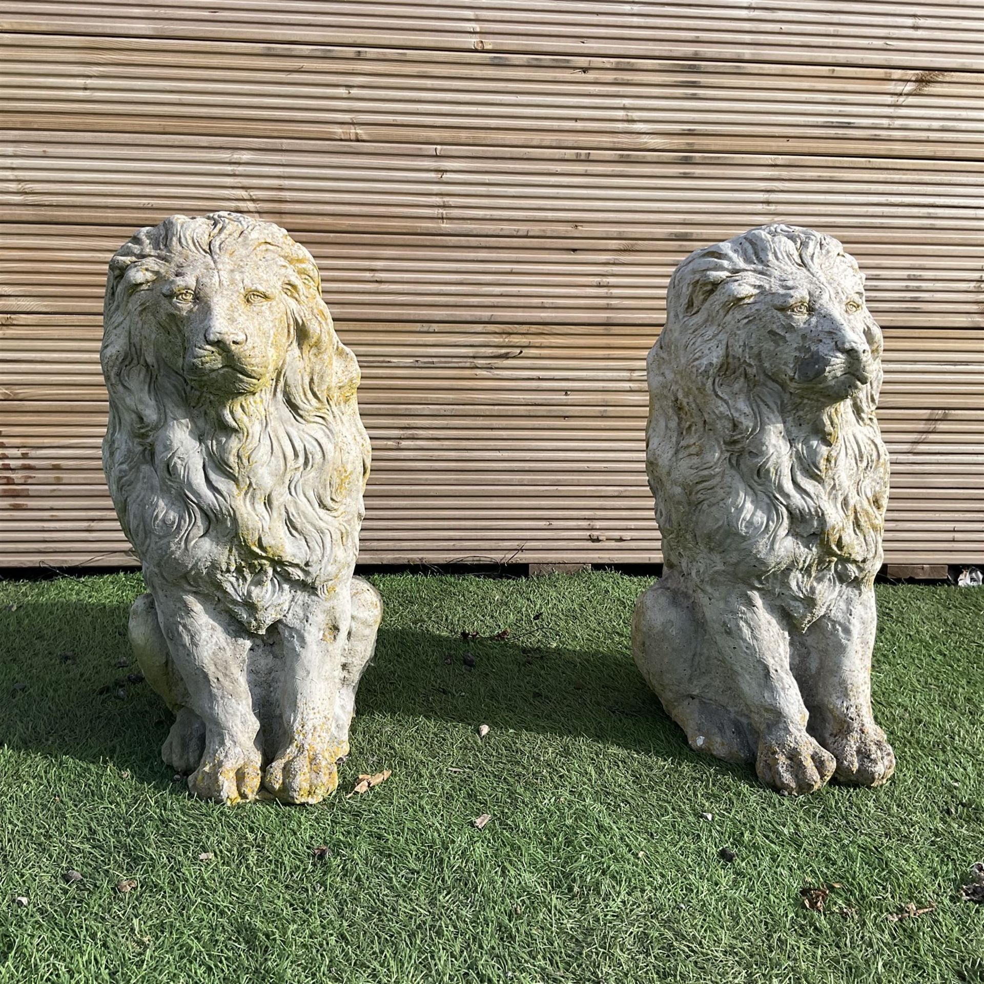 Pair of cast stone garden lions