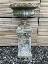 Cast stone urn on plinth